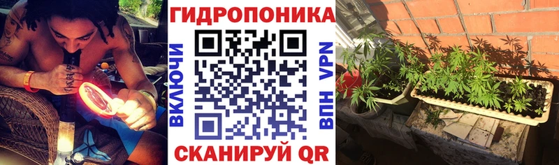 продажа наркотиков  Татарск  Бошки марихуана White Widow 